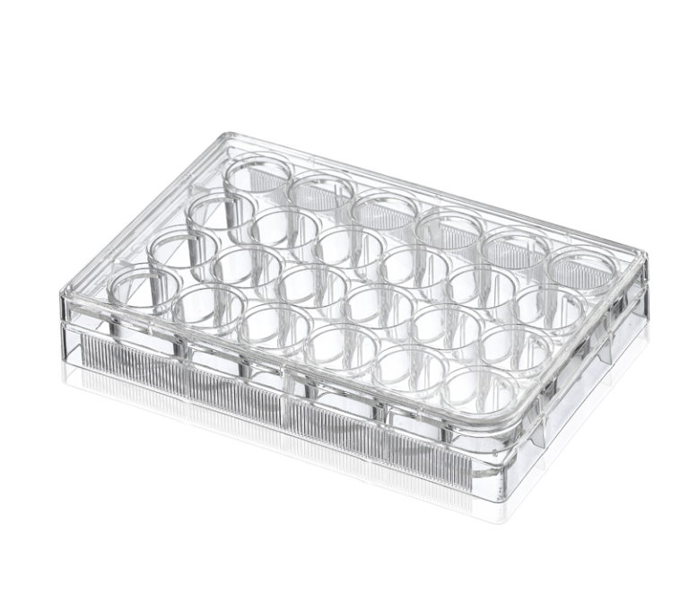 24-Well Treated Cell Culture Plates, Sterile