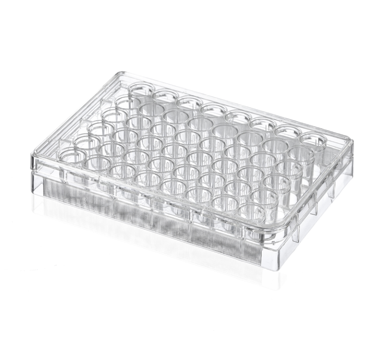 48-Well Treated Cell Culture Plates, Sterile