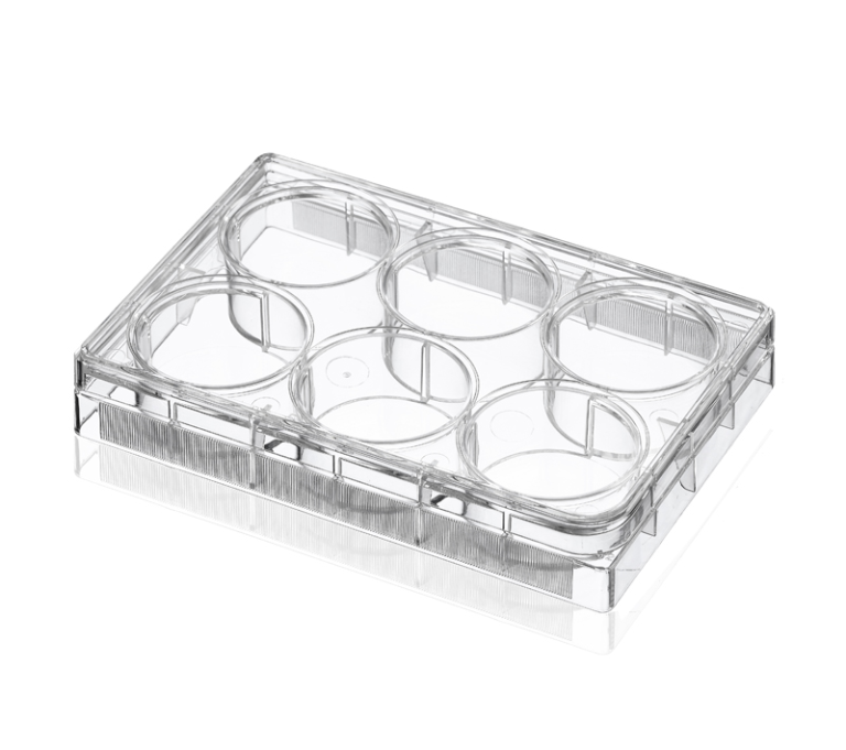 6-Well Treated Cell Culture Plates, Sterile